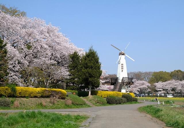 【さいたま市北区宮原】春の腰痛・肩こり・花粉症を同時に整える方法｜あん整骨院の春トータルケア